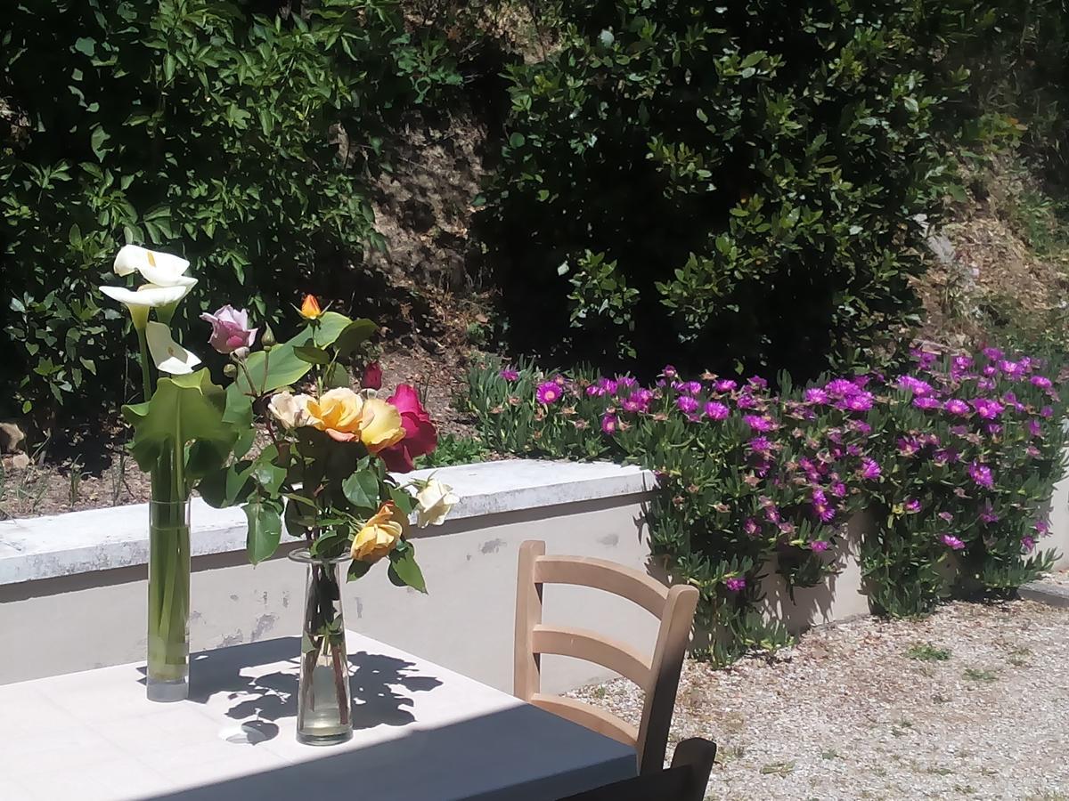Home Meditamondo Fano Buitenkant foto
